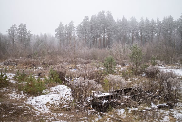 Winterreise - Border with Belarus - Poland © François Struzik - simply human 2021-2023