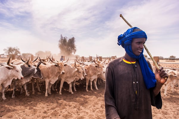 Dahra,  cow herders, SOS Faim - Djolof, Senegal © François Struzik - simply human 2017