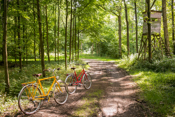 Vélofabrik bicycles hand made in Belgium © François Struzik - simply human 2016