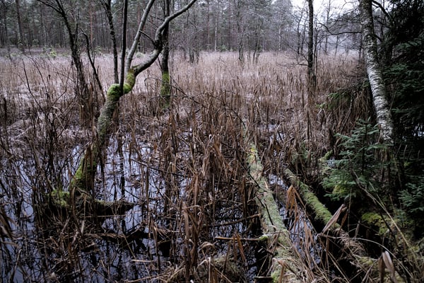 Solvik, Dalsland, Sweden  © François Struzik - simply human 2019
