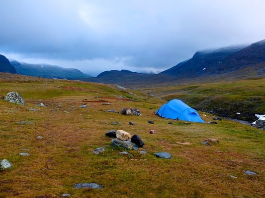 Kunglseden in Lappland - Sweden - © François Struzik - simply human 2015