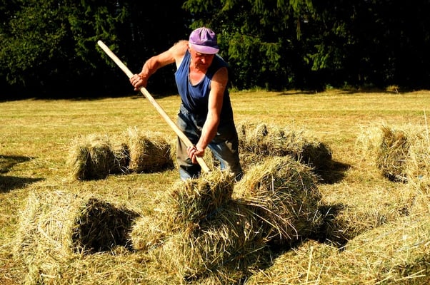 Farming in the Ardennes - © François Struzik - simply human 2010 - Hénumont - Belgium