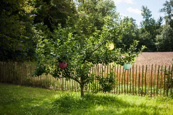 A cottage by the stream © François Struzik - simply human 2015