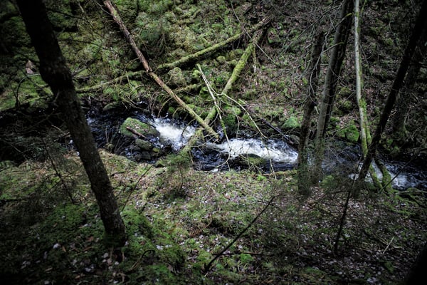 Solvik, Dalsland, Sweden  © François Struzik - simply human 2019