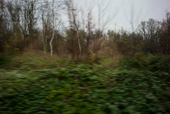 Winterreise - Wallonia - Belgium © François Struzik - simply human 2021-2023