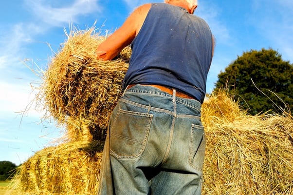 Farming in the Ardennes - © François Struzik - simply human 2010 - Hénumont - Belgium