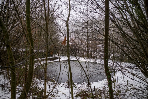 Winterreise - Wallonia - Belgium © François Struzik - simply human 2021-2023