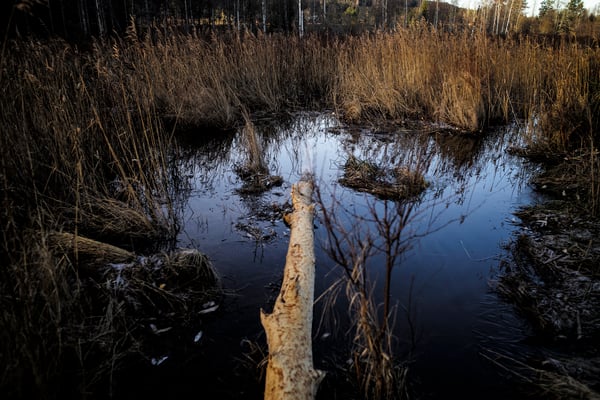 Solvik, Dalsland, Sweden  © François Struzik - simply human 2019