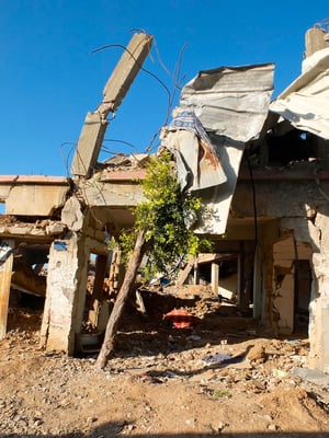 The walls of Palestine © François Struzik - simply human 2015 - Gaza