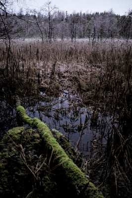 Solvik, Dalsland, Sweden  © François Struzik - simply human 2019