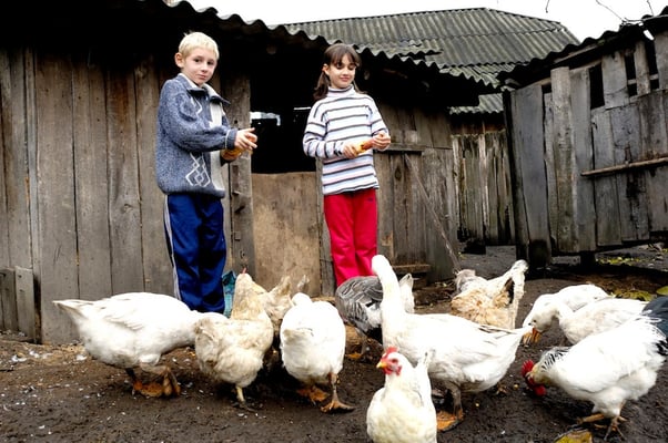 Children at risk - Terre des hommes - Moldova © François Struzik - simply human 2007
