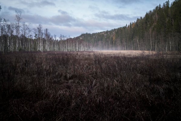 Solvik, Dalsland, Sweden  © François Struzik - simply human 2018