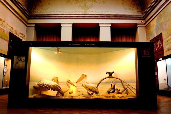 The Royal Museum of Central Africa in Tervuren (MRAC/KMMA) - © François Struzik - simply human 2009 - Belgium