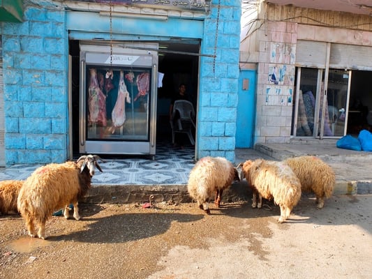The colors of Al-Mafraq - © François Struzik - simply human 2013 - Jordan