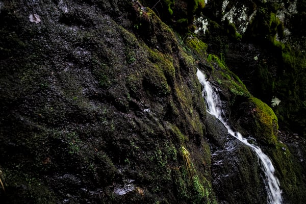 Solvik, Dalsland, Sweden  © François Struzik - simply human 2019