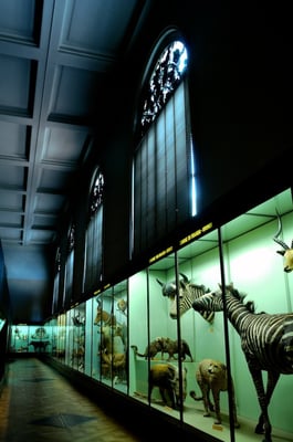 The Royal Museum of Central Africa in Tervuren (MRAC/KMMA) - © François Struzik - simply human 2009 - Belgium