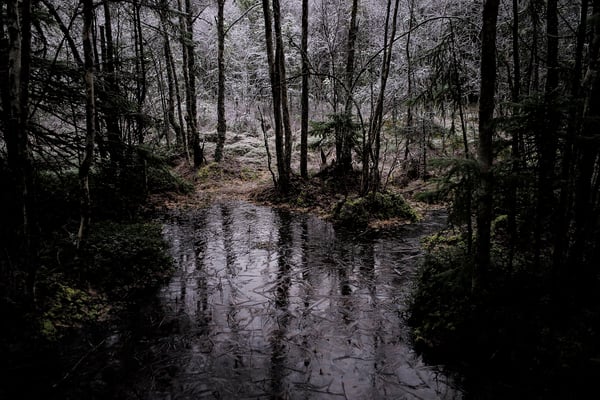 Solvik, Dalsland, Sweden  © François Struzik - simply human 2019