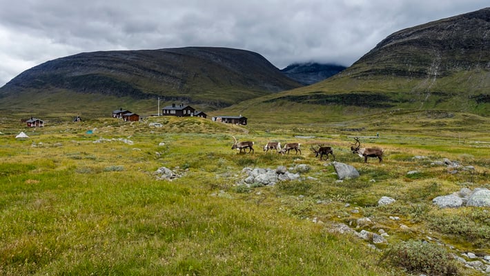 Kungsleden, Lapland, Sweden  © François Struzik - simply human 2018 - Sälka stugorna