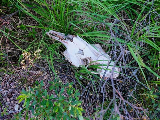 Baking bread - Dalsland - Sweden - © François Struzik - simply human 2014