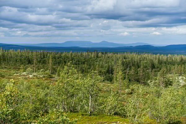 Hiking in Fulufjället, Dalarna, Sweden © François Struzik - simply human 2017