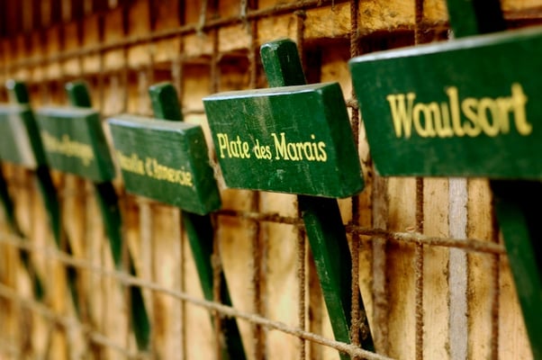 Atelier du Rivage - Hand made barques © François Struzik - simply human 2014 - Seneffe - Belgium