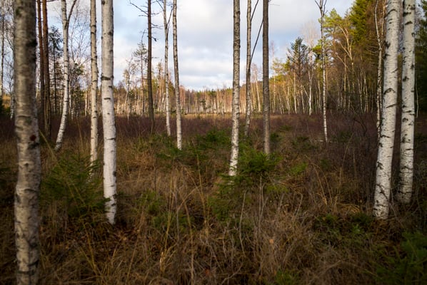 Solvik, Dalsland, Sweden  © François Struzik - simply human 2018