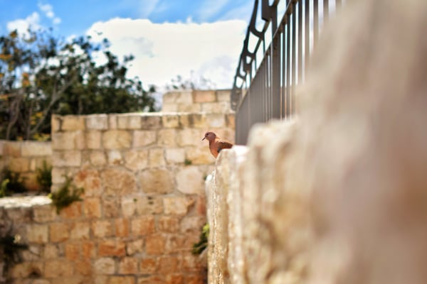 Mur d'enceinte, Jerusalem © Olga Struzik Pränting, 2019
