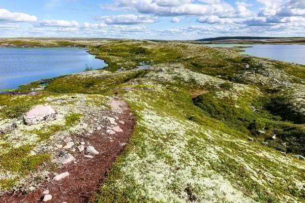 Hiking in Fulufjället, Dalarna, Sweden © François Struzik - simply human 2017