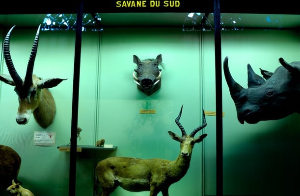 The Royal Museum of Central Africa in Tervuren (MRAC/KMMA) - © François Struzik - simply human 2009 - Belgium