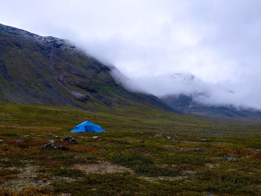 Kunglseden in Lappland - Sweden - © François Struzik - simply human 2015