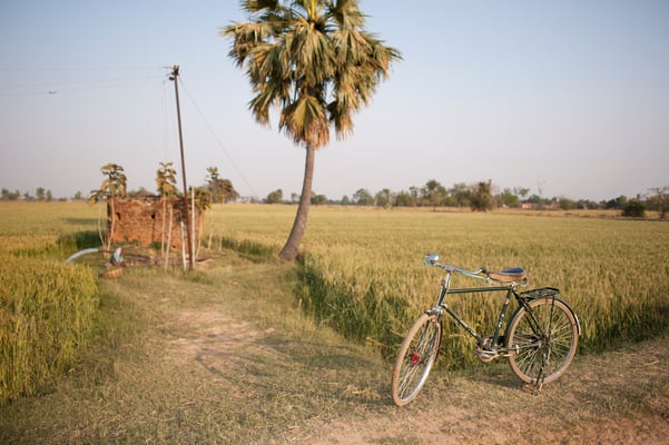 Cycling in Bihar - India  © François Struzik - simply human 2016
