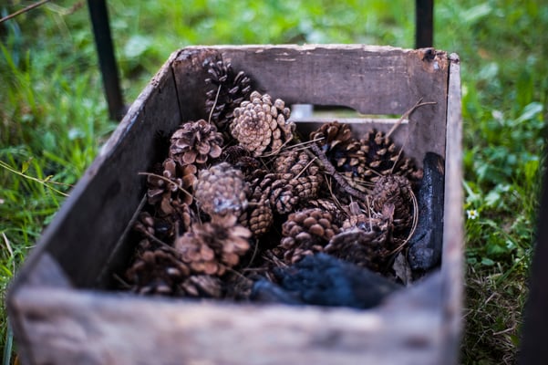 A cottage by the stream © François Struzik - simply human 2015