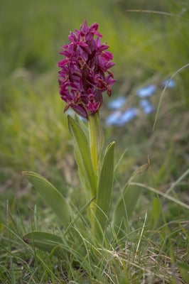 Am Übernachtungsplatz