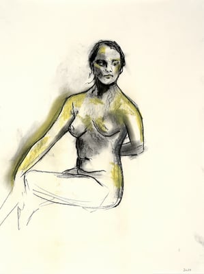 2013, #12, fusain et pastel sur papier - Charcoal and pastel on paper 