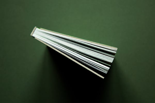 Illustrationen: Rán Flygenring / Layout und Foto: Carolin Rauen 