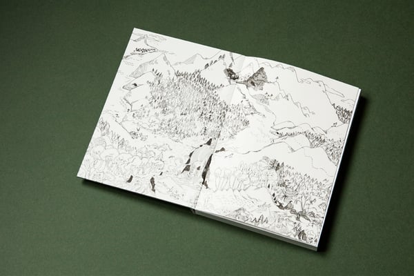 Illustrationen: Rán Flygenring / Layout und Foto: Carolin Rauen 