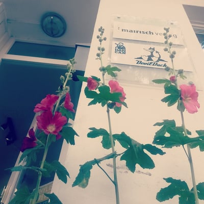 Im Sommer stehen vorm Laden die Stockrosen (2016)