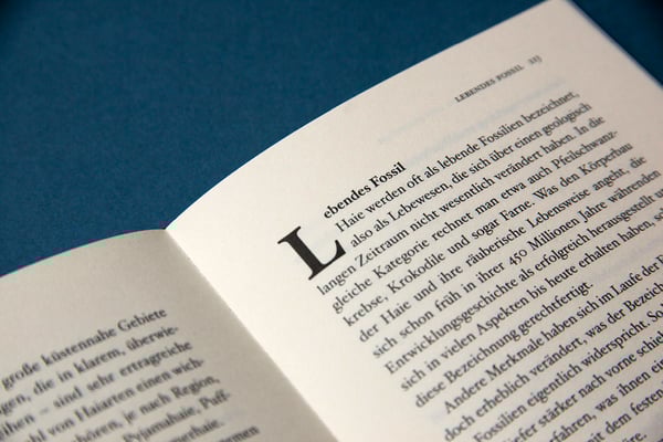 Gestaltung: Andrea Pieper, Foto: Carolin Rauen