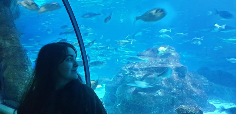 Nefeli im Aquarium Barcelona