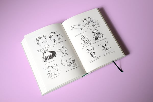 Gestaltung: Carolin Rauen, Foto: Timo Ruppel