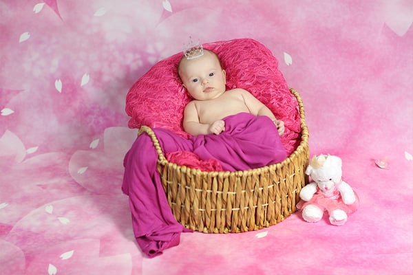 Baby girls  weeks old <3  Newborn photo session. If you are interested, please message me.  Photographer Gosia & Steve Tudruj 215-837-6651  www.momentsinlifephoto.com  Specializing in wedding photography, events, portrait.