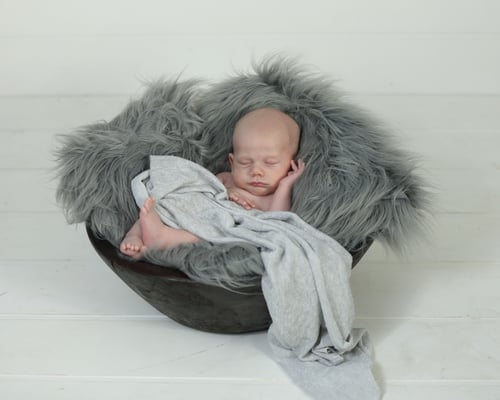 Newborn photo shoot. baby boy photo session. Servis PA, NJ, NY, FL. Photographer Gosia Tudruj 215-837-6651 www.momentsinlifephoto.com  Specializing in portrait, event, wedding photography.