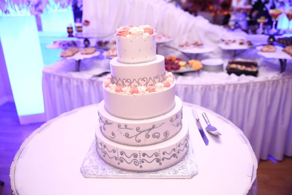 Professional wedding photographers  Gosia & Steve Tudruj 215-837-6651 Photographer PA, NJ, NY, MD, DE Specializing in wedding photography, event.  www.momentsinlifephoto.com    