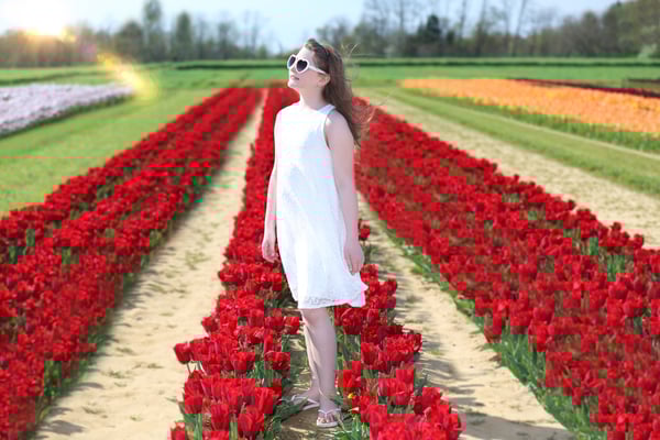 Spring time. Tulips Session Girl Photo Shoot. Photographer Gosia & Steve Tudruj Servis PA, NJ, NY 215-837-6651 www.momentsinlifephoto.com Specializing in wedding photography, event, portrait