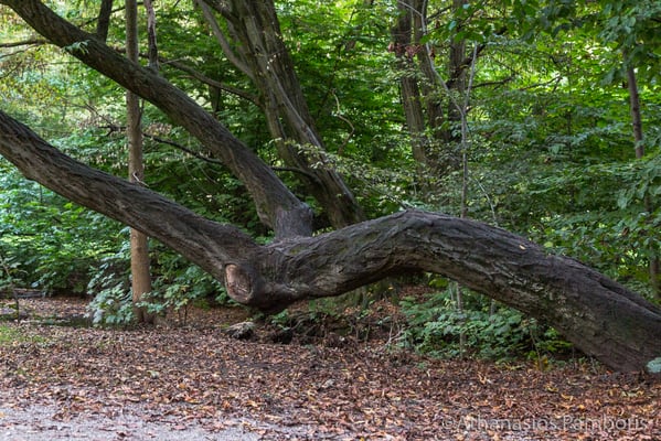 Frühlingsanlagen Munich