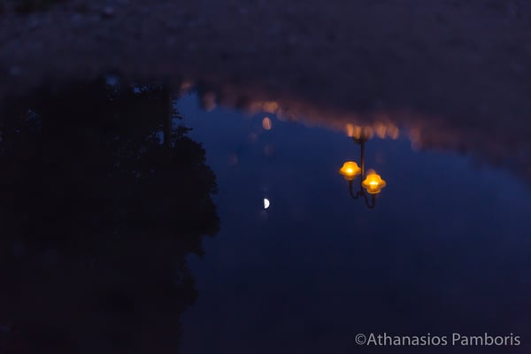 Reflection of a tree, a street lamp and the Moon