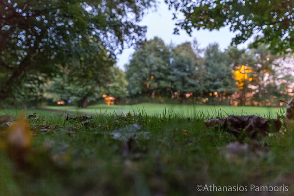 Frühlingsanlagen Munich