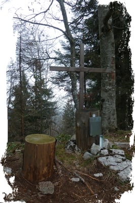 Scharnsteiner Spitze 1133m