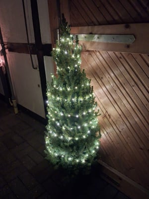 Lebendiges Türchen 19