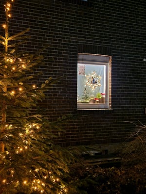 Lebendiges Türchen 12